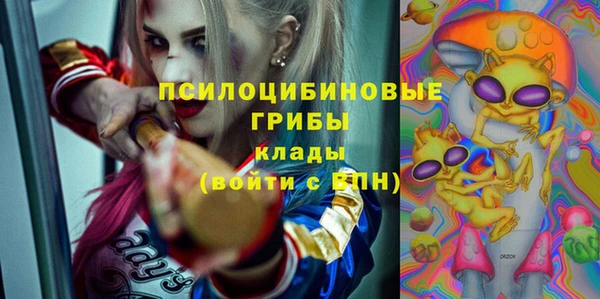 ПСИЛОЦИБИНОВЫЕ ГРИБЫ Алексин