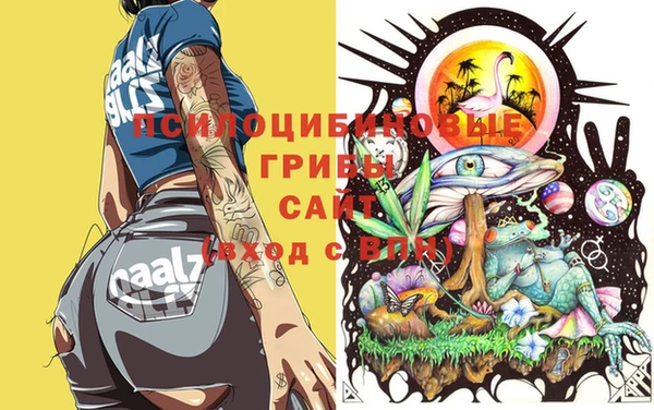 ешки Абдулино