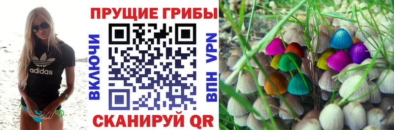 Галлюциногенные грибы Psilocybe  купить наркотик  Яблоновский 